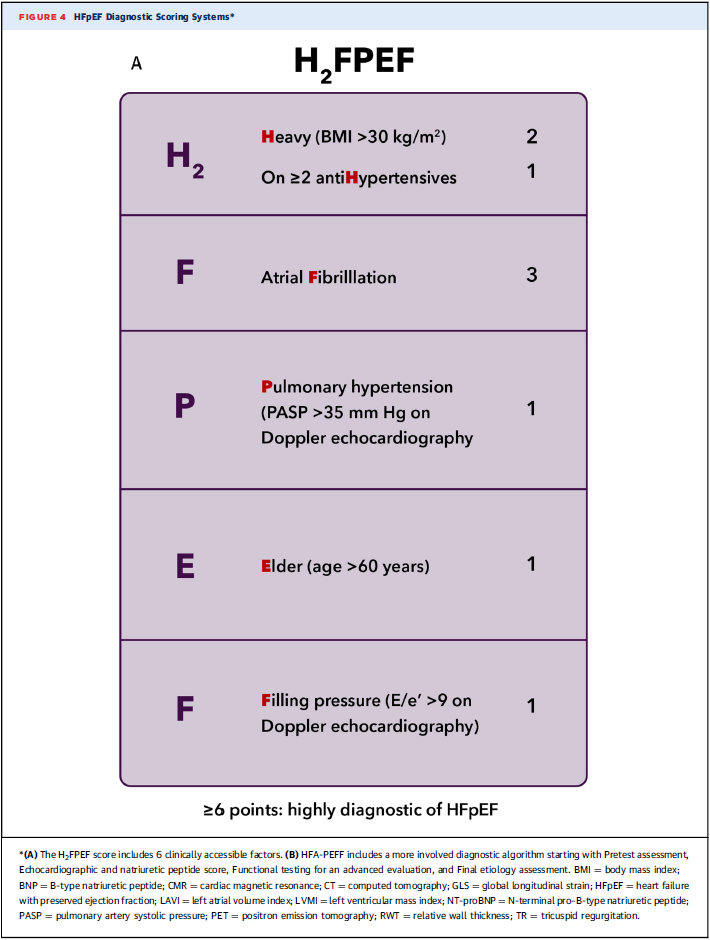 Evaluation H2FPEF Diagnostic